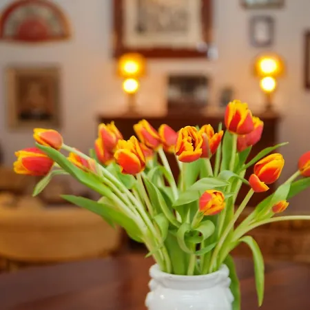 Turismo De Interior S'ardeviu Hotel Sóller